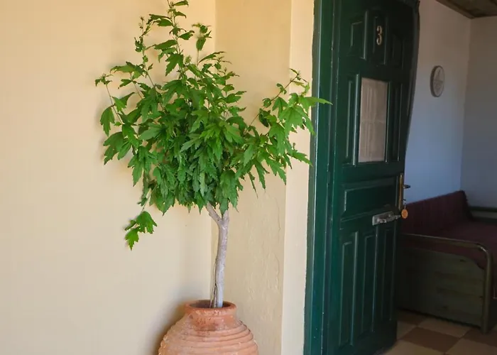 Koralia Kastrisianika